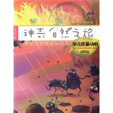 神奇自然之旅：屎壳郎暴动啦