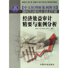经济效益审计精要与案例分析(中天恒理财系列图书)