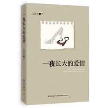 一夜长大的爱情