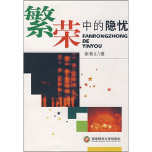繁荣中的隐忧