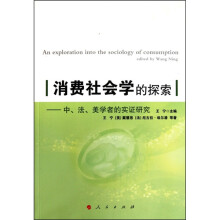 消费社会学的探索