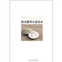 精美微型小说读本