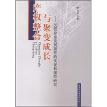 产权整合与聚变成长：民营企业发展提升的实证和规范研究