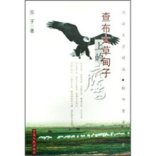 查布大草甸子上的鹰