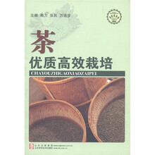 茶优质高效栽培