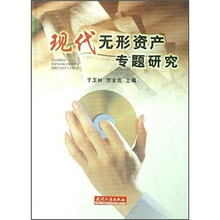 现代无形资产专题研究
