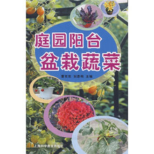 庭园阳台盆栽蔬菜