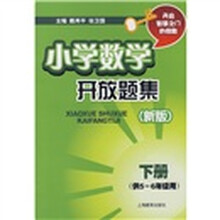 小学数学开放题集（下册）（供5-6年级用）（新版）