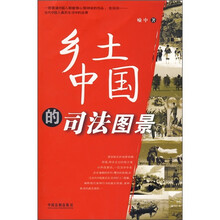 乡土中国的司法图景