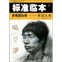 多角度头骨：素描头像