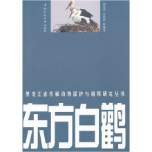 东方白鹳