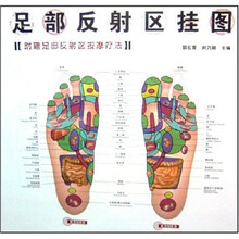 足部反射区挂图