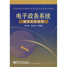 高等学校信息管理与信息系统专业系列实验教材：电子政务系统模拟实验教程