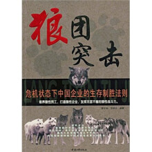 狼团突击：危机状态下中国企业的生存制胜法则