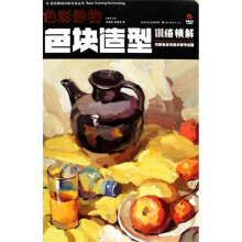 色彩静物色块造型训练精解