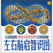 婴幼儿启智识图：左右脑启智识图