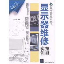 维修技能实训丛书：显示器维修技能实训