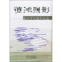惊鸿照影：张小平军旅作品选