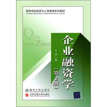 企业融资学(第2版)