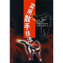 实用散手技法