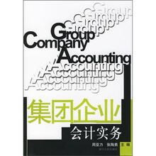 集团企业会计实务