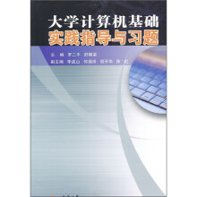 大学计算机基础实践指导与习题