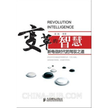 变革的智慧:新电信时代的驾驭之道