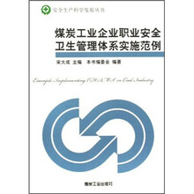 煤炭工业企业职业安全卫生管理体系实施范例