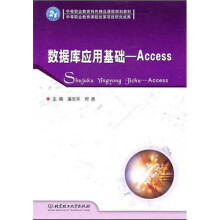 数据库应用基础:Access