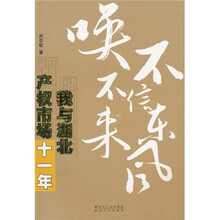 不信东风唤不来：我与湖北产权市场十一年