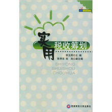 实用税收筹划