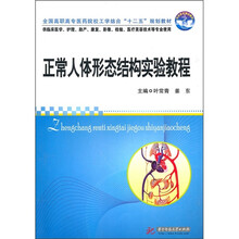正常人体形态结构实验教程