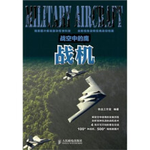 战空中的鹰:战机