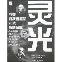 灵光:改变科技进程的20大智慧瞬间