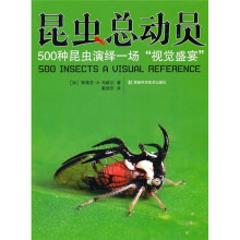 昆虫总动员:500种昆虫演绎一场“视觉盛宴”