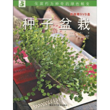 种子盆栽