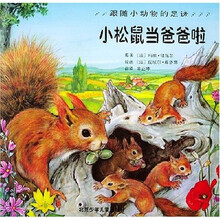 跟随小动物的足迹：小松鼠当爸爸啦