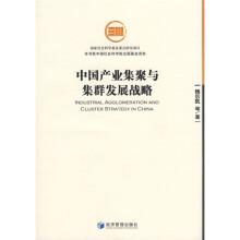中国产业集聚与集群发展战略