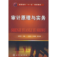 高职高专“十一五”规划教材:审计原理与实务