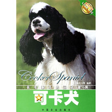 长毛垂耳的运动健将:可卡犬