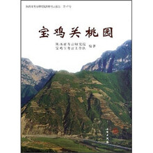 陕西省考古研究院田野考古报告（第47号）：宝鸡关桃园