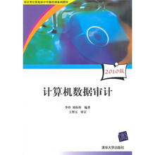 审计署计算机审计中级培训系列教材：计算机数据审计（附光盘）