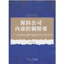 保险公司内部控制精要：业绩和品牌价值提升的有效手段