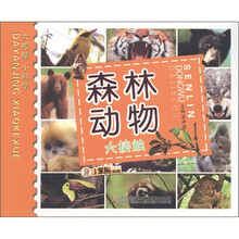 小笨熊·大眼睛小科学：森林动物大接触