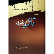艾海提·吐尔迪作品集：月亮雨（维吾尔文版）