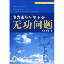 电力市场环境下的无功问题