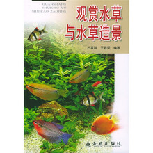 观赏水草与水草造景