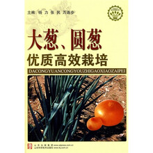 大葱圆葱优质高效栽培