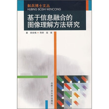 基于信息融合的图像理解方法研究