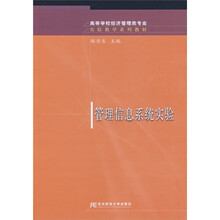 高等学校经济管理类专业实验教学系列教材：管理信息系统实验